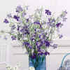 Floral Arrangements WS020-22.jpg (77961 bytes)
