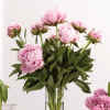 Floral Arrangements WS057-12.jpg (59770 bytes)