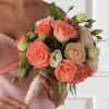 Bridesmaid Bouquet WS092-11.jpg (62326 bytes)
