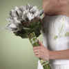 Bridesmaid Bouquet WS131-21.jpg (43937 bytes)