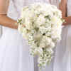 Bridal Bouquet white 1-11.jpg (53874 bytes)