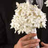 Bridal Bouquet white 5-11.jpg (54488 bytes)